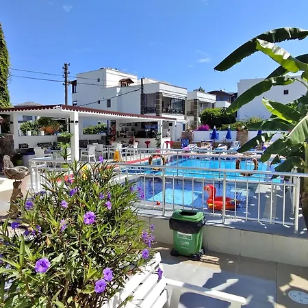 Palmiye بودروم